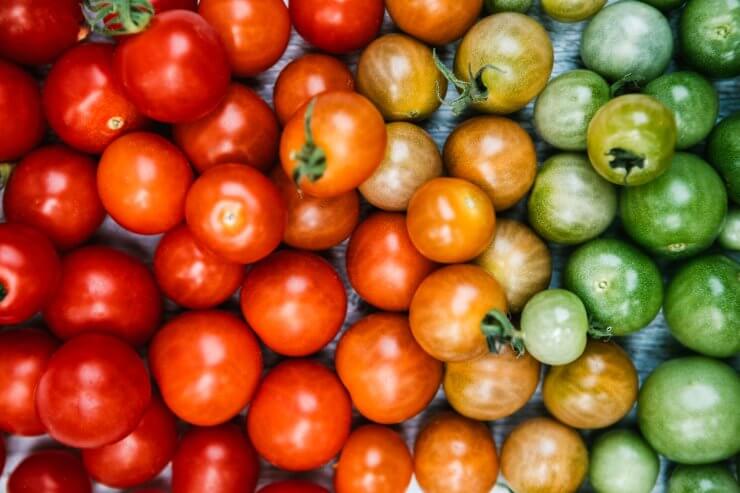 Tomato ripeness object detection output visual.